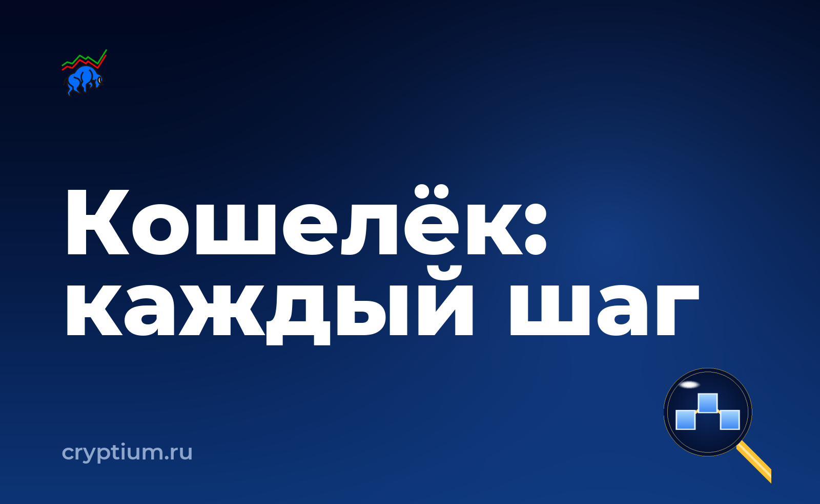 Как проверить подлинность аппаратного кошелька и проверить каждый шаг — обложка материала