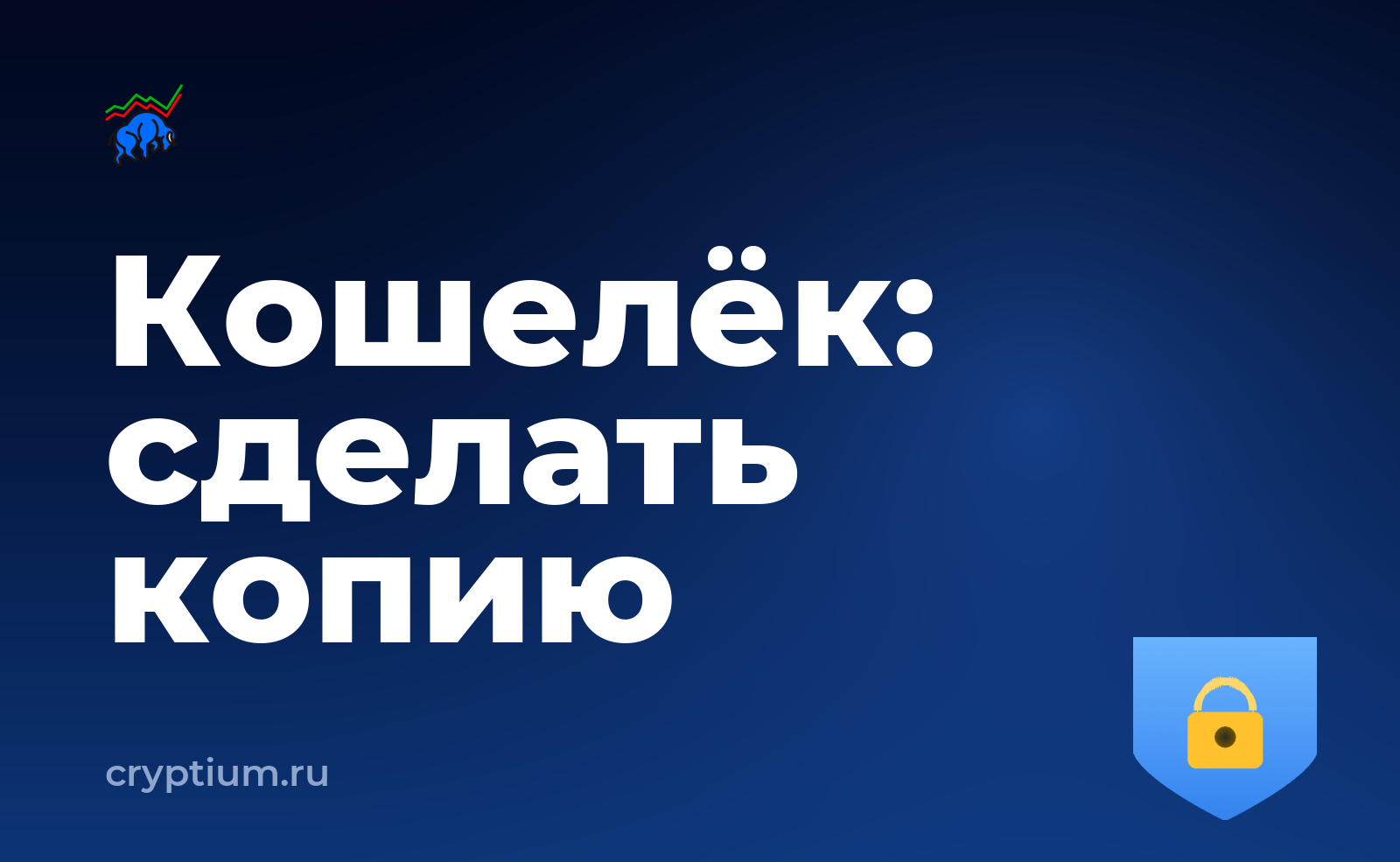 Как проверить подлинность аппаратного кошелька и сделать резервную копию — обложка материала