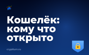 Как проверить подлинность аппаратного кошелька и разграничить доступ — обложка материала