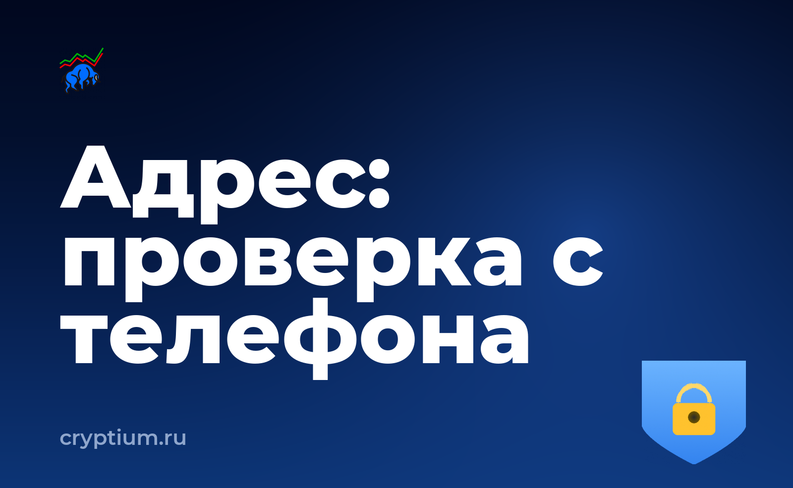 Как проходит проверка адреса на риски, если доступ есть только с телефона — обложка материала