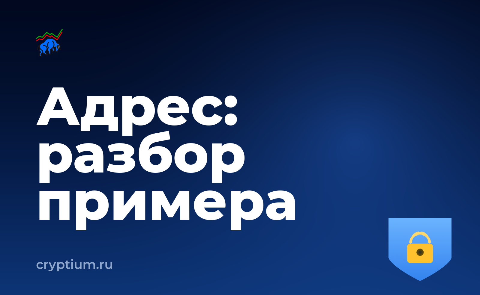 Как проходит проверка адреса на риски на конкретном примере — обложка материала