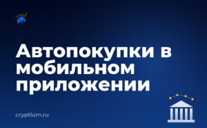 Как настроить автоматические покупки в мобильном приложении биржи — обложка материала