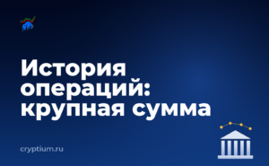 Как собрать историю операций для отчётности, если сумма крупная — обложка материала