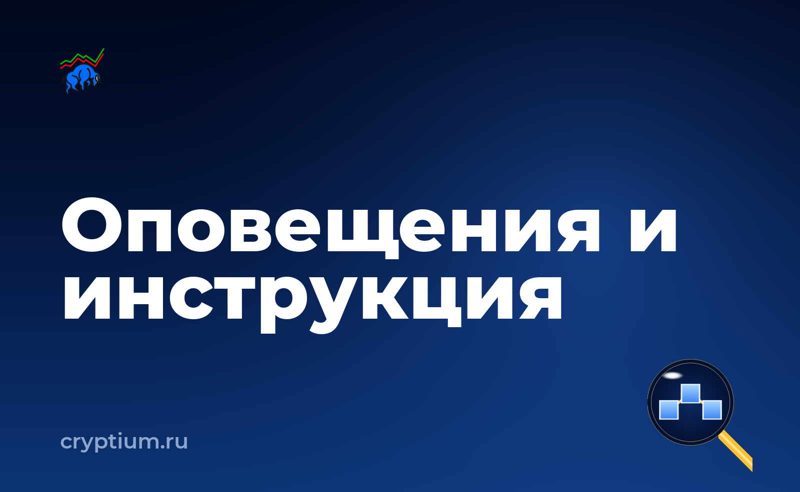 Как настроить уведомления о движении средств и оформить письменную инструкцию — обложка материала