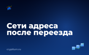 Как проверить, какие сети поддерживает ваш адрес после смены телефона — обложка материала