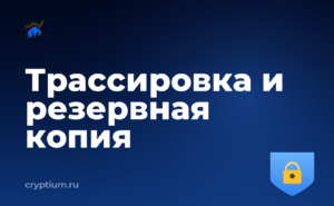 Как проследить движение украденных средств и сделать резервную копию — обложка материала