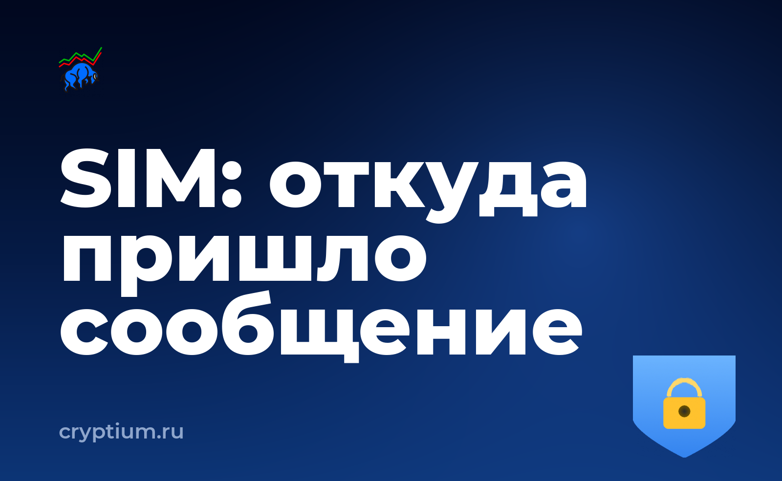 Как защититься от подмены SIM-карты и проверить официальность источника — обложка материала