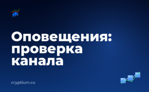 Как настроить уведомления о движении средств и проверить каждый шаг — обложка материала
