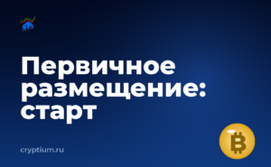 Как участвовать в первичном размещении на площадке, если вы только начинаете — обложка материала