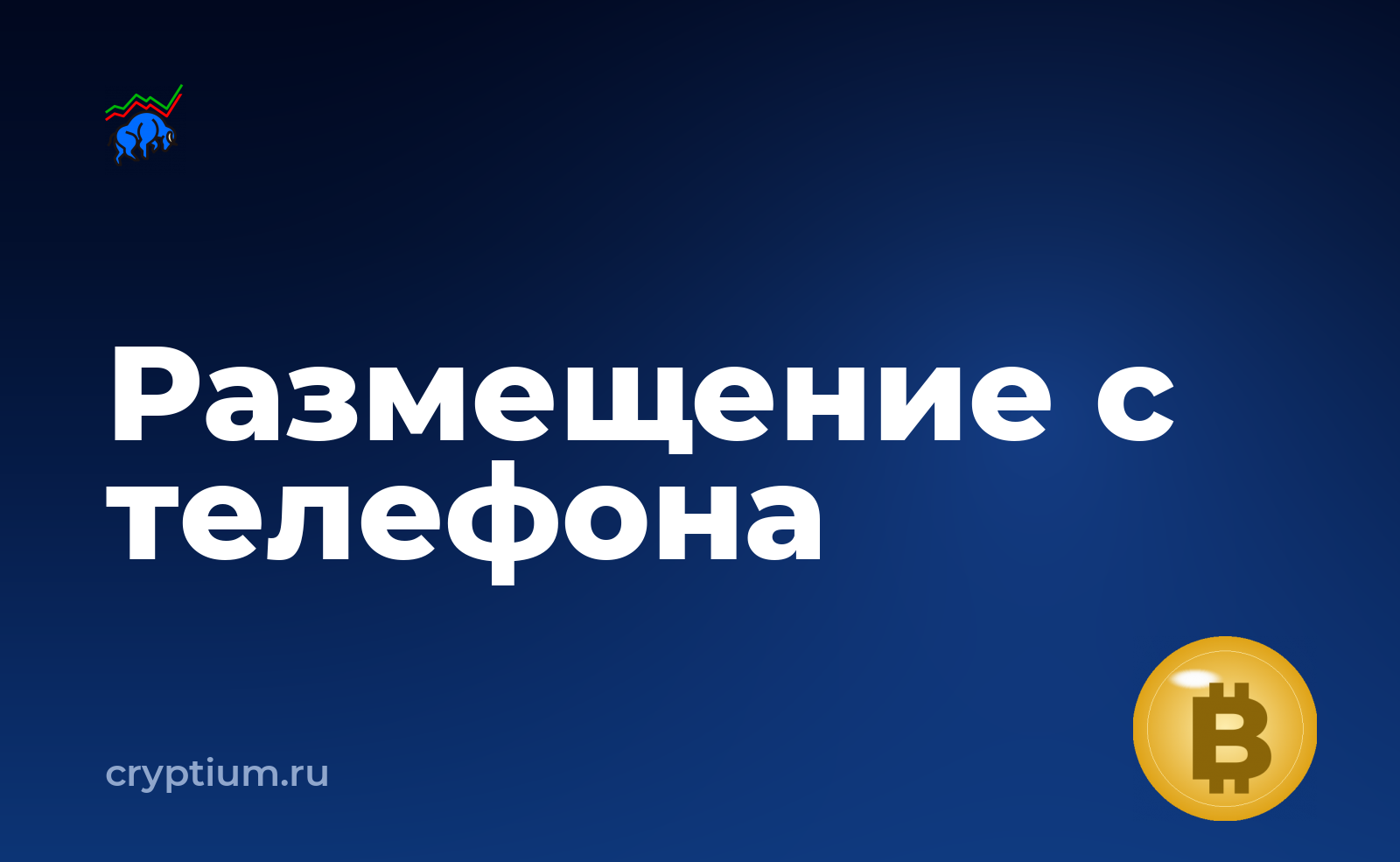 Как участвовать в первичном размещении на площадке с мобильного приложения — обложка материала