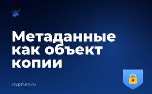 Как проверить, какие сети поддерживает ваш адрес и сделать резервную копию — обложка материала
