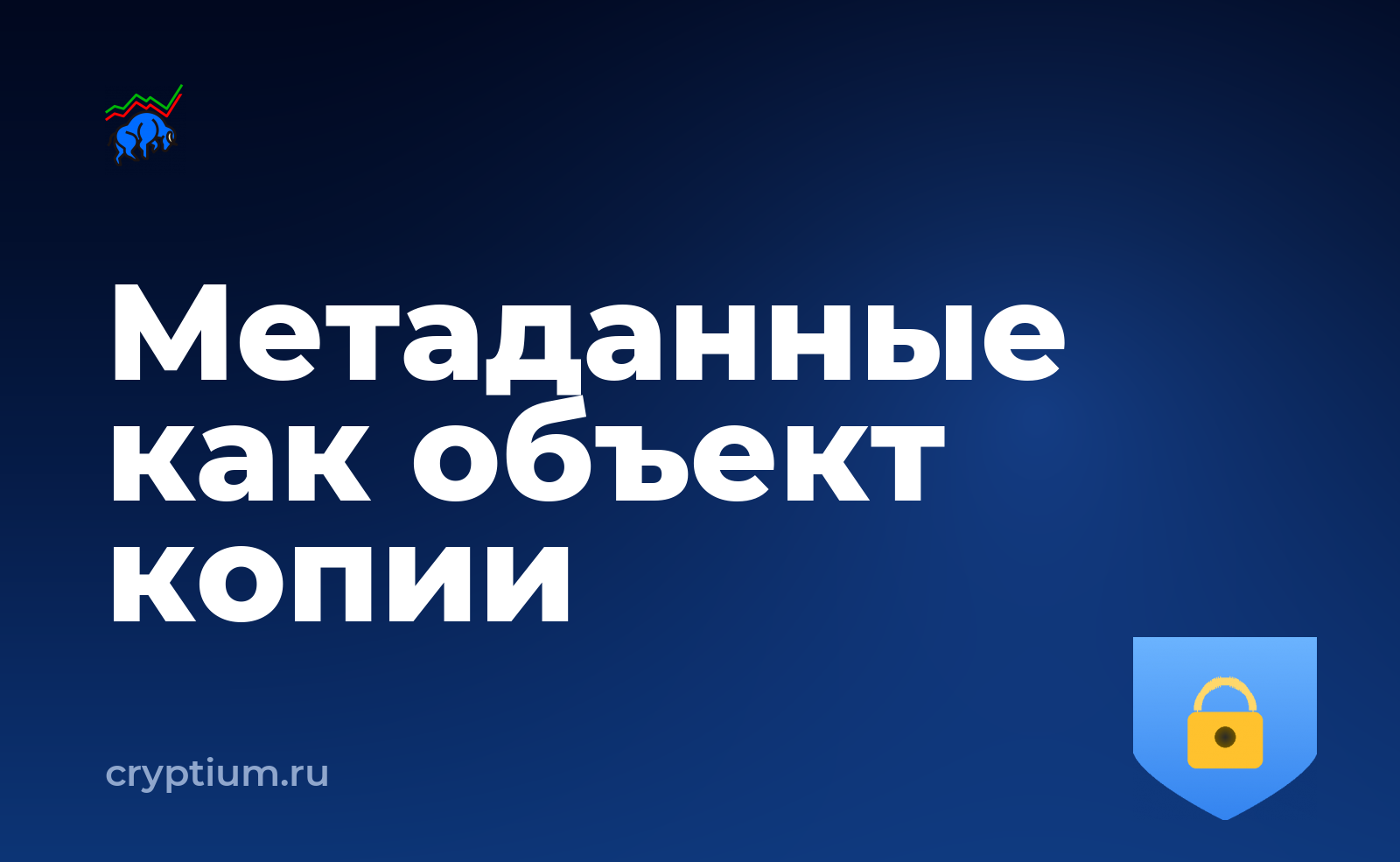 Как проверить, какие сети поддерживает ваш адрес и сделать резервную копию — обложка материала