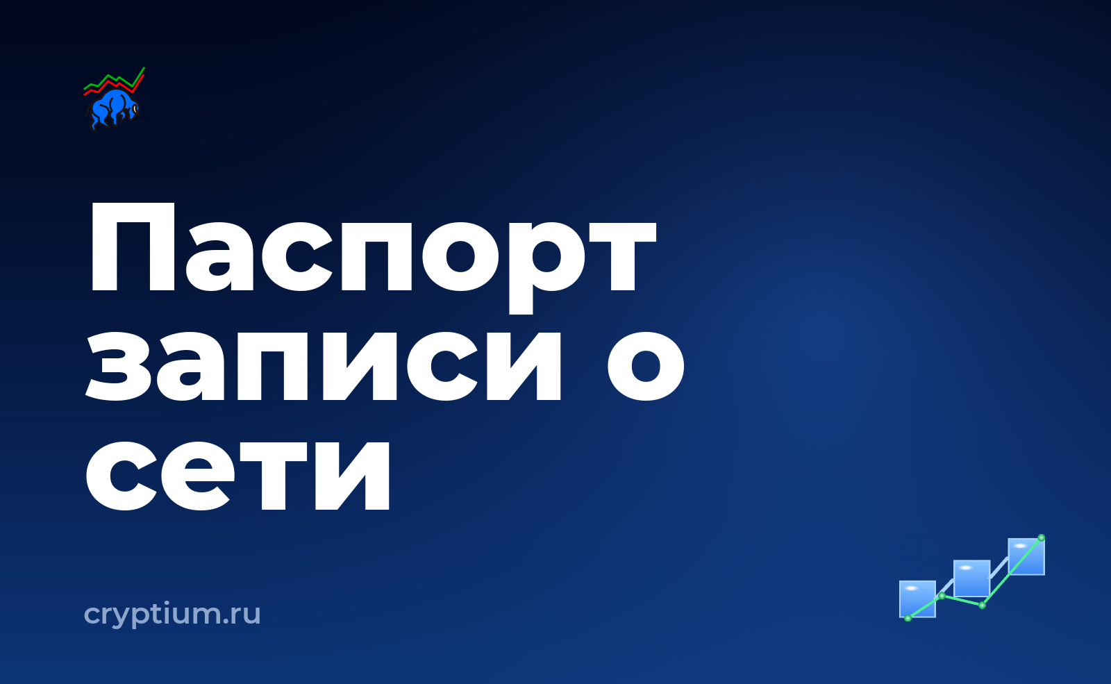 Как проверить, какие сети поддерживает ваш адрес и проверить официальность источника — обложка материала