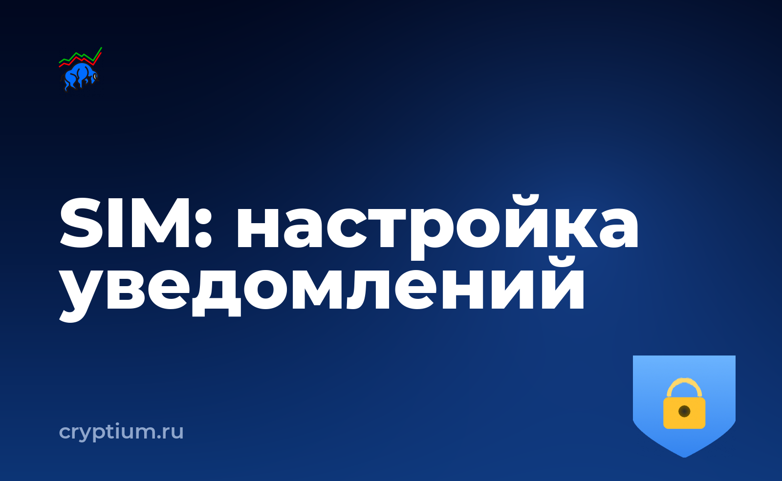 Как защититься от подмены SIM-карты и настроить уведомления — обложка материала