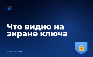Как вывести внутриигровые активы за пределы игры с аппаратного кошелька — обложка материала