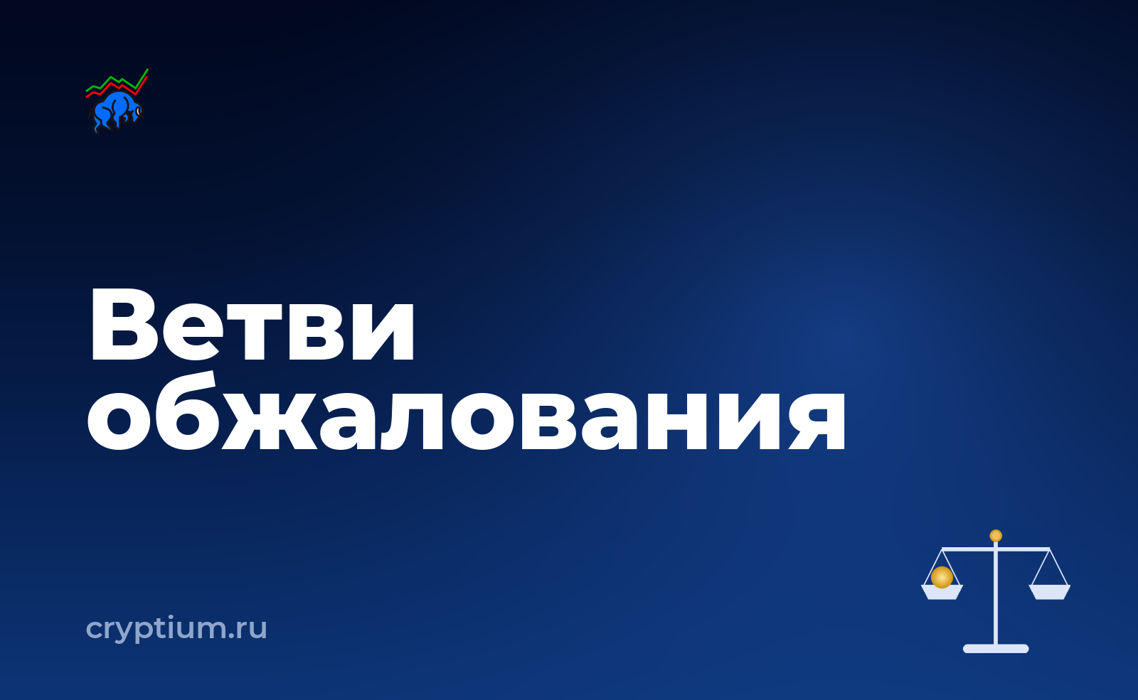 Как оспорить решение площадки по обращению и подготовить запасной вариант — обложка материала