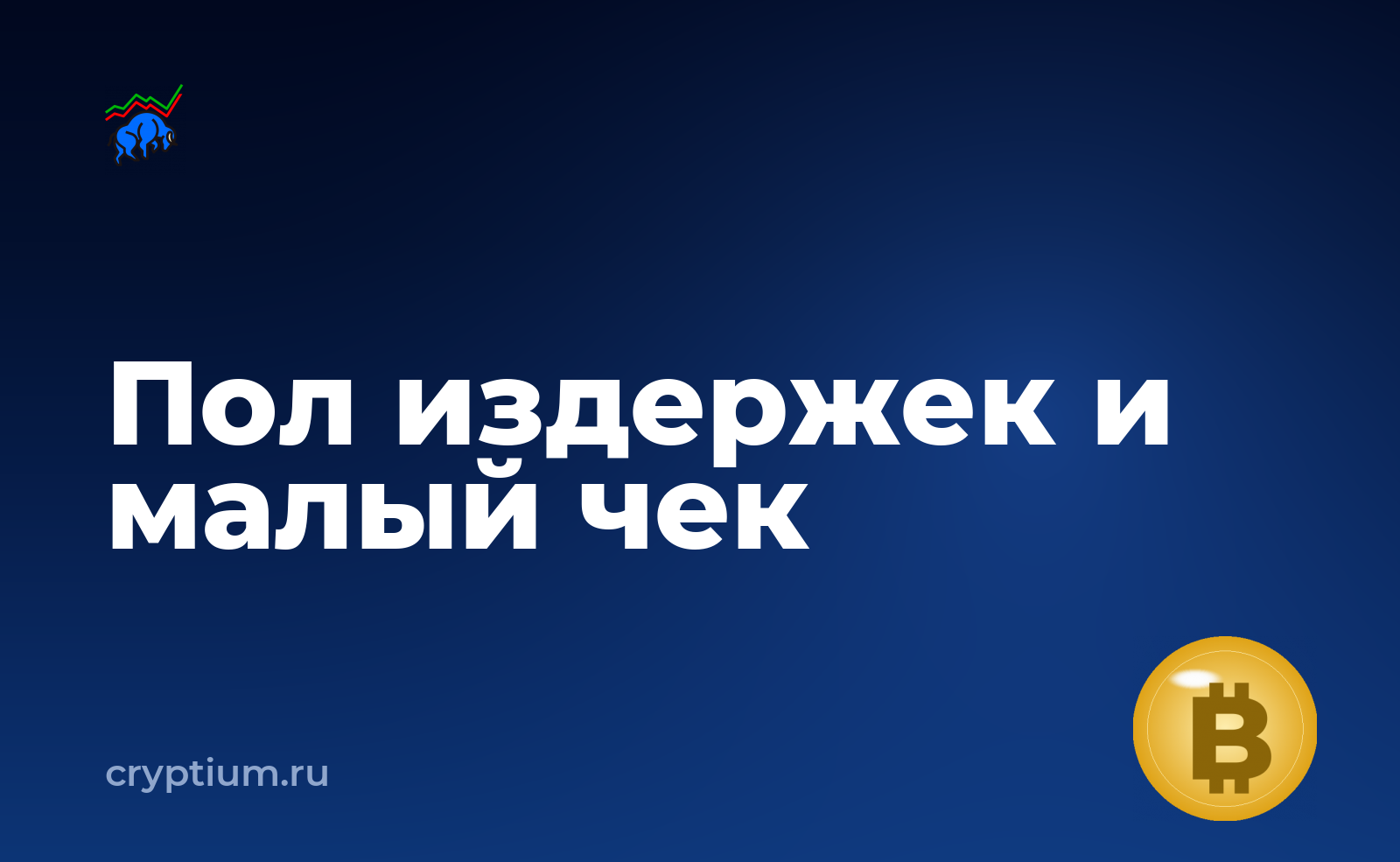 Как участвовать в первичном размещении на площадке, если сумма небольшая — обложка материала