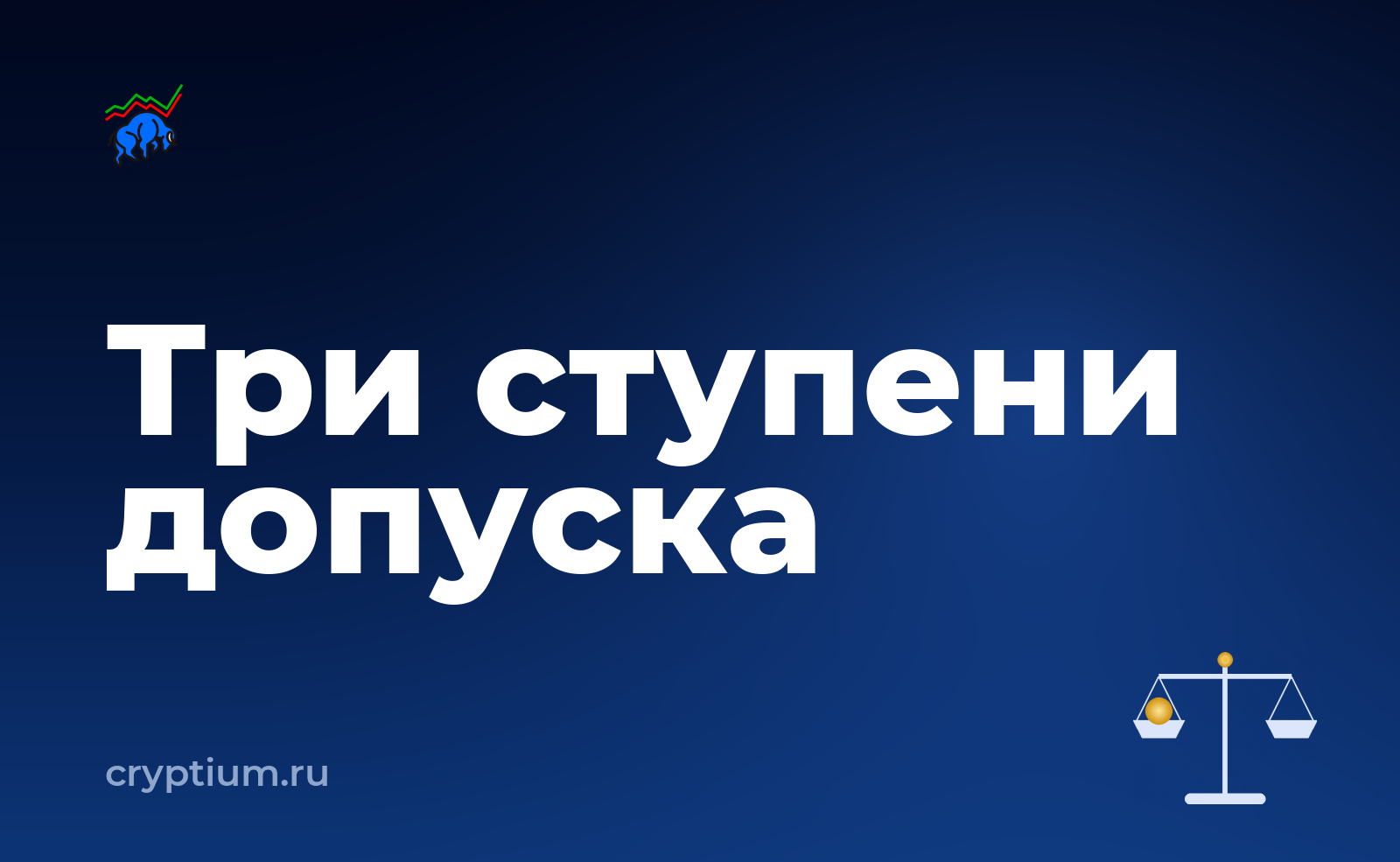 Как участвовать в первичном размещении на площадке, если сумма крупная — обложка материала