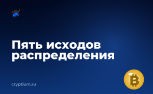 Как участвовать в первичном размещении на площадке и подготовить запасной вариант — обложка материала