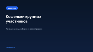 Как отследить кошельки крупных участников — обложка материала Cryptium