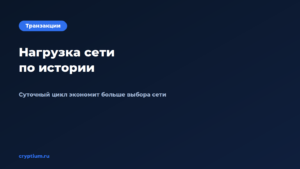 Как оценить нагрузку сети по историческим данным — обложка материала Cryptium