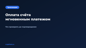 Как оплатить счёт через сеть мгновенных платежей — обложка материала Cryptium